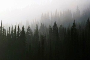 Пионерская ночь «Твин Пикс»
