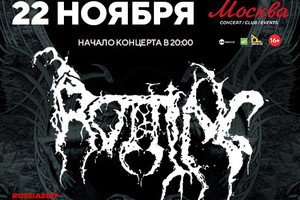 Rotting C
