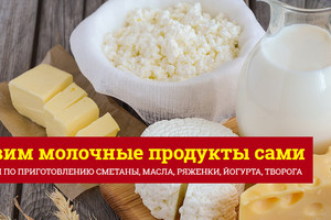 Практикум: кисломолочные продукты в домашних условиях