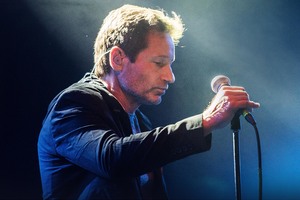 DAVID DUCHOVNY