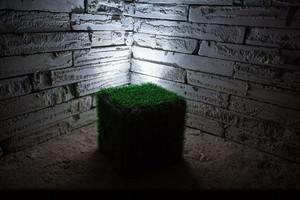 Последнее интервью