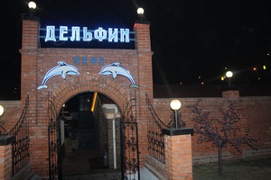 Дельфин