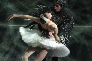 Лебединое озеро