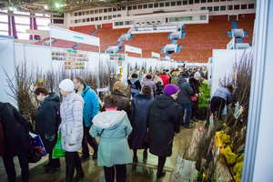 Петербургская зеленая неделя