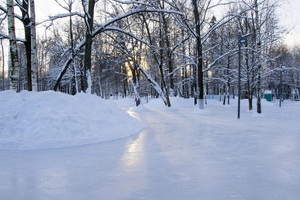 Лианозовский