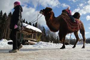 Этнопарк «Кочевник»