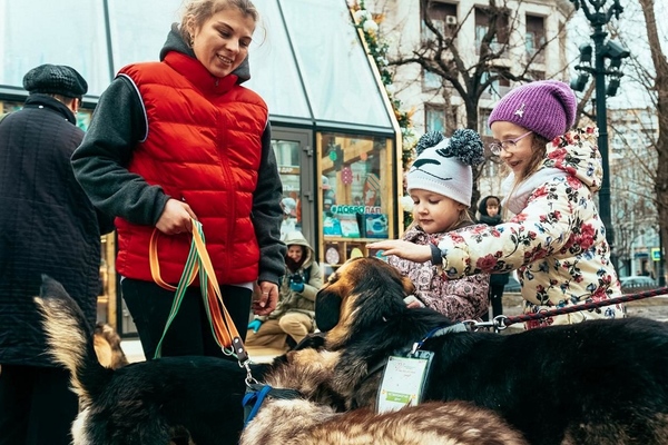 Ветеринарная станция и «Школа груминга» на Тверском бульваре