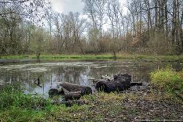 Долина реки Сетуни