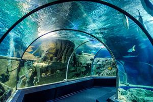 Sochi Discovery World Aquarium