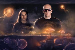 Infected Mushroom