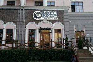 Sova v drova