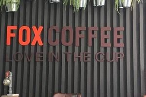 Kit Fox Coffee