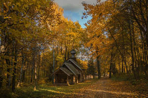 Щёлоковский хутор