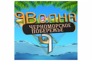 9 ВОЛНА