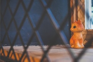 Загадка человека