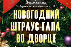 Новогодний Штраус-гала во дворце