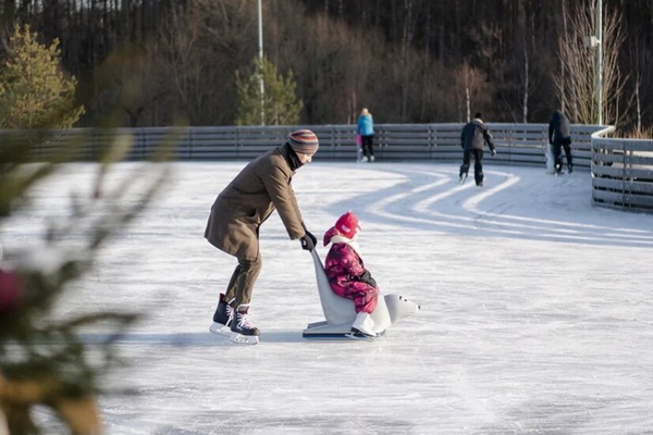 The Rink