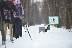 Лыжная трасса в Сокольниках