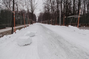 Лыжная трасса в Сокольниках