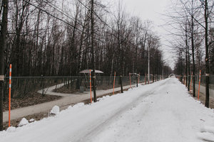 Лыжная трасса в Сокольниках