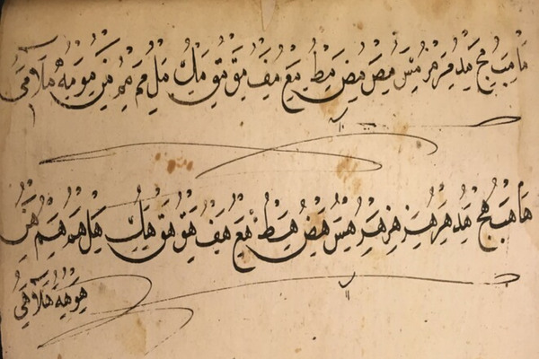 Суфизм без границ. Накшбандийский шейх Ахмед Гюмюшханеви (1813-1893) и его рукописи