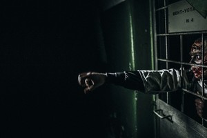 Ходячие мертвецы