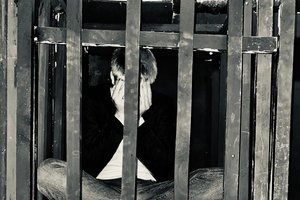Выжить до рассвета