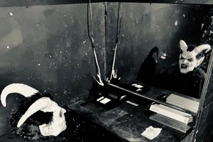 Выжить до рассвета