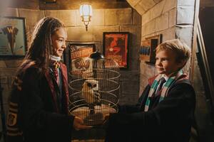 Гарри и меч Гриффиндора