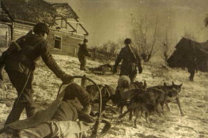 Медики в годы Великой Отечественной войны