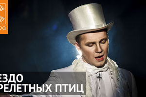 Гнездо перелётных птиц
