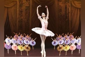 Спящая красавица