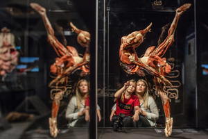 Body Worlds