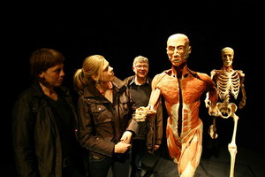 Body Worlds