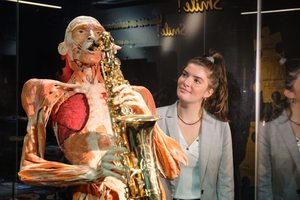 Ночь музеев на Body Worlds