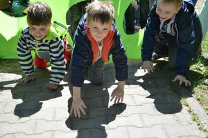 Планета динозавров