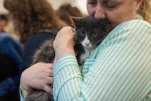 Тыквы и Коты