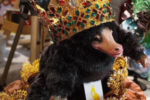 Волшебные миры