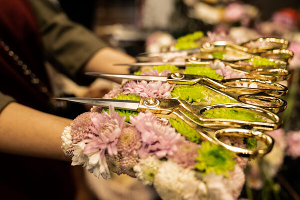 Wedding Guide Expo