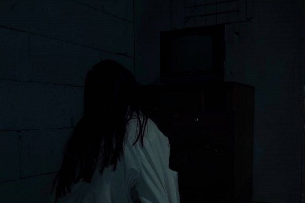 Незваные гости