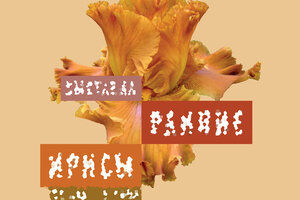 Цветочная выставка ранних ирисов. Интермедиа