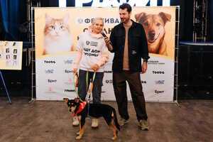 Собаки, которые любят… и котики!