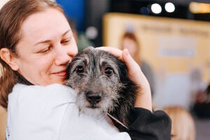 Собаки, которые любят… и котики!