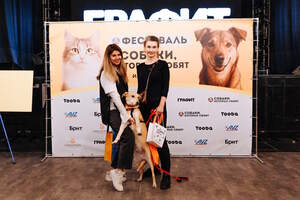 Собаки, которые любят… и котики!