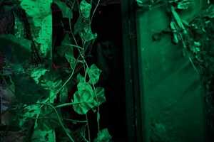 Outlast II