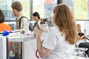 Месяц помощи животным