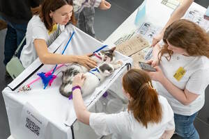 Месяц помощи животным