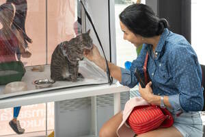 Месяц помощи животным