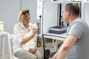 Месяц помощи животным