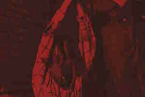 Свиное рыло